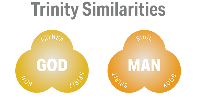 tinity similarities graphic